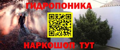 прущие грибы Азнакаево