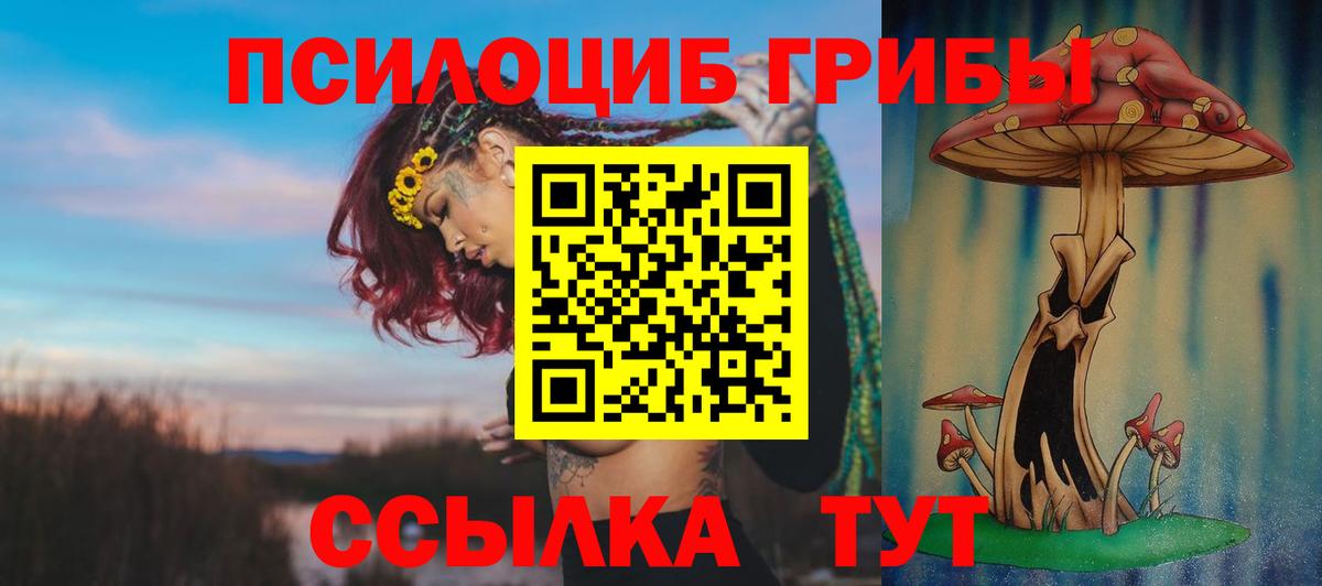 Галлюциногенные грибы мицелий Тимашёвск